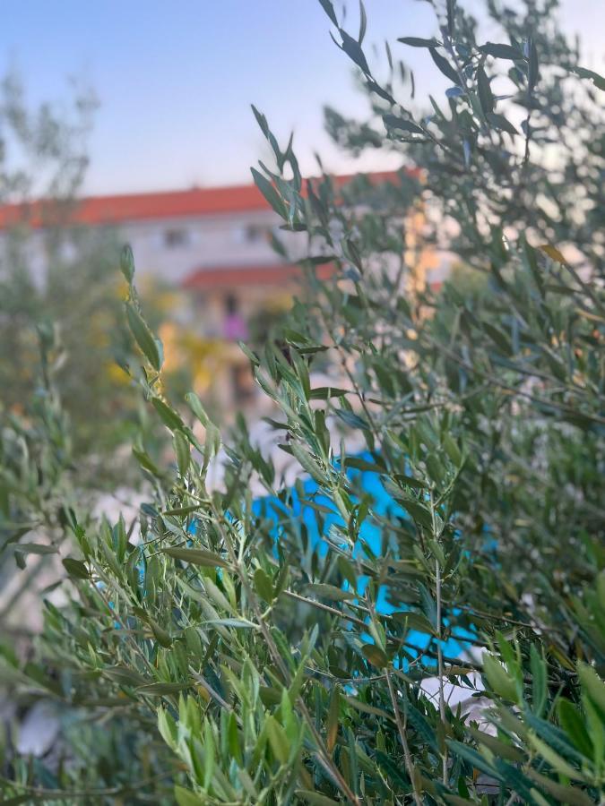 Apartments Villa Klaudia - Adults Only Crikvenica Buitenkant foto