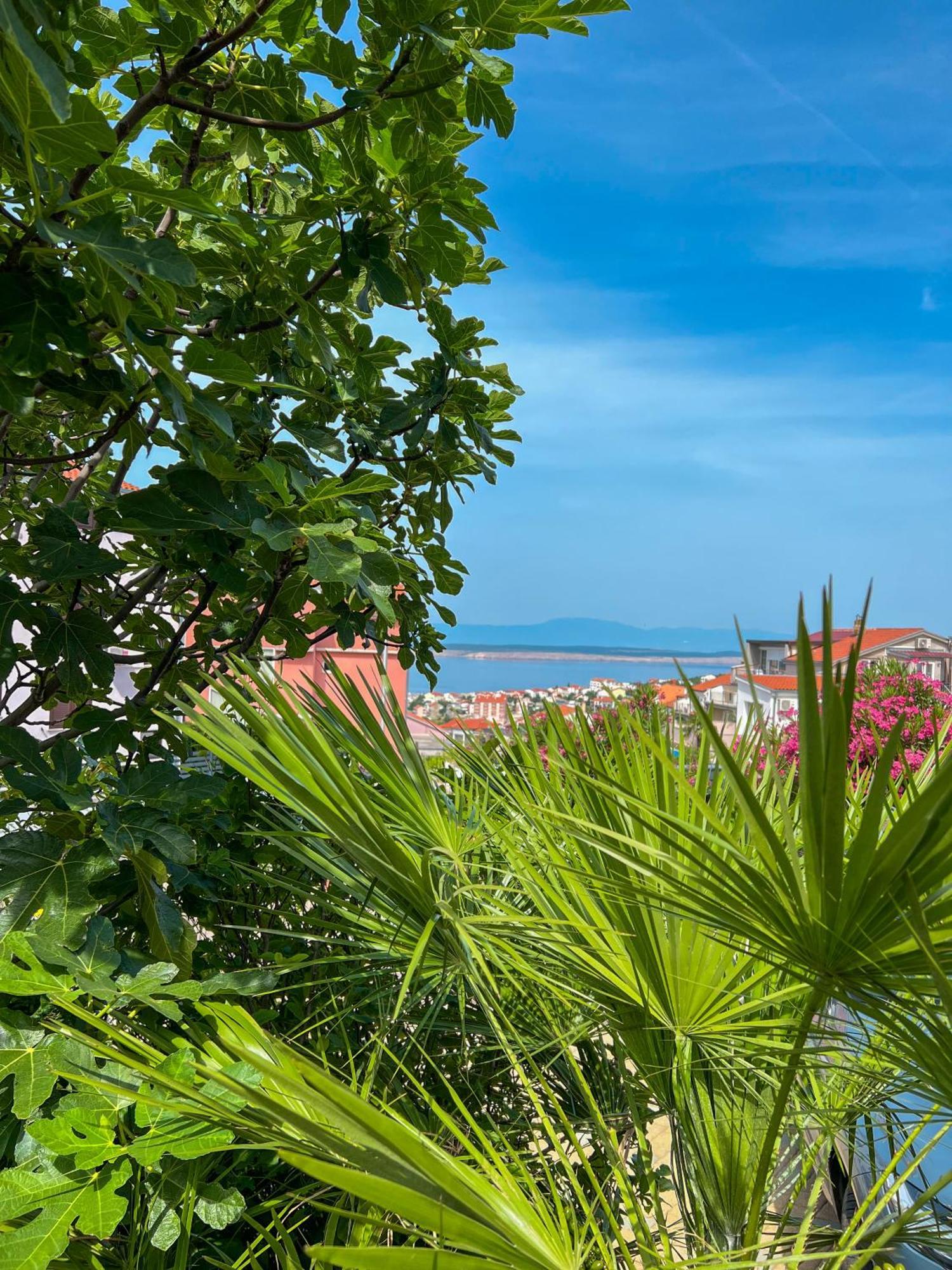 Apartments Villa Klaudia - Adults Only Crikvenica Buitenkant foto